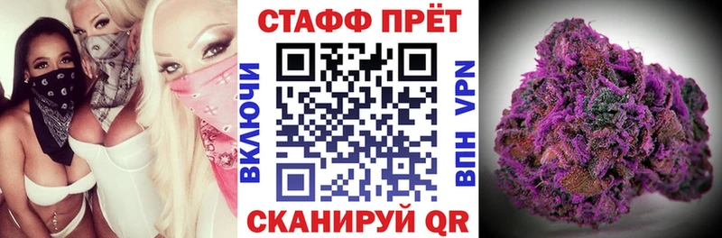 Названия наркотиков Злынка ОМГ ОМГ онион  Амфетамин  ГАШИШ  Бошки Шишки  МДМА 