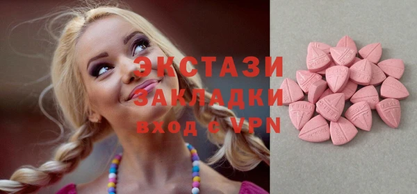 СК Алексин