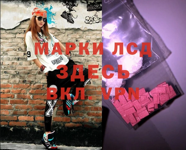 СК Алексин