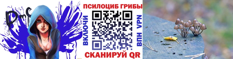 Псилоцибиновые грибы мицелий  МЕГА зеркало  Злынка  купить наркотик 