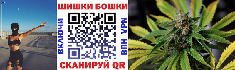 Конопля сатива  Злынка 